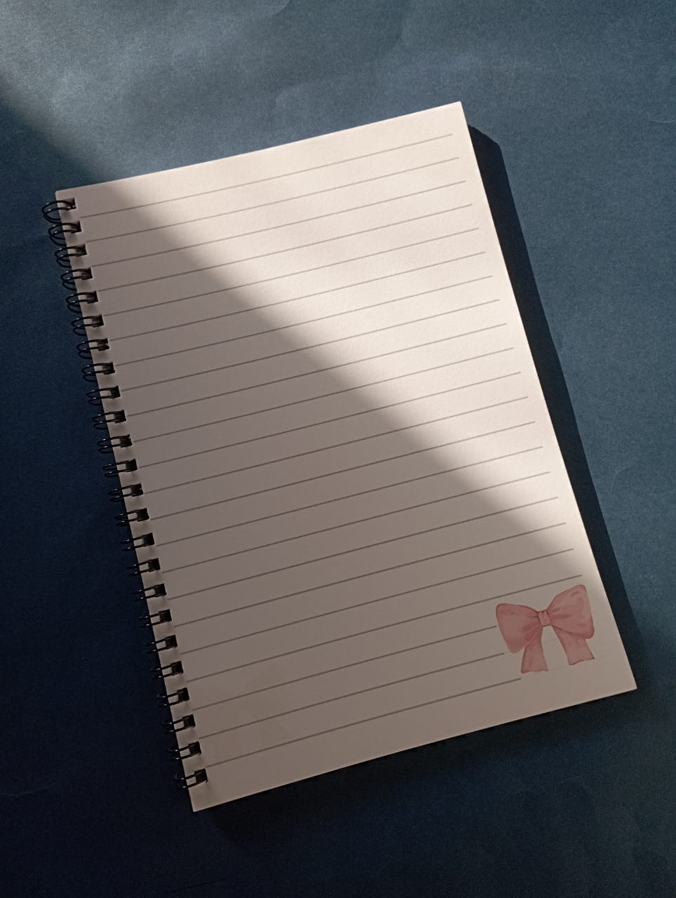 Take Care Of Yourself Notebook - A5 Notebook