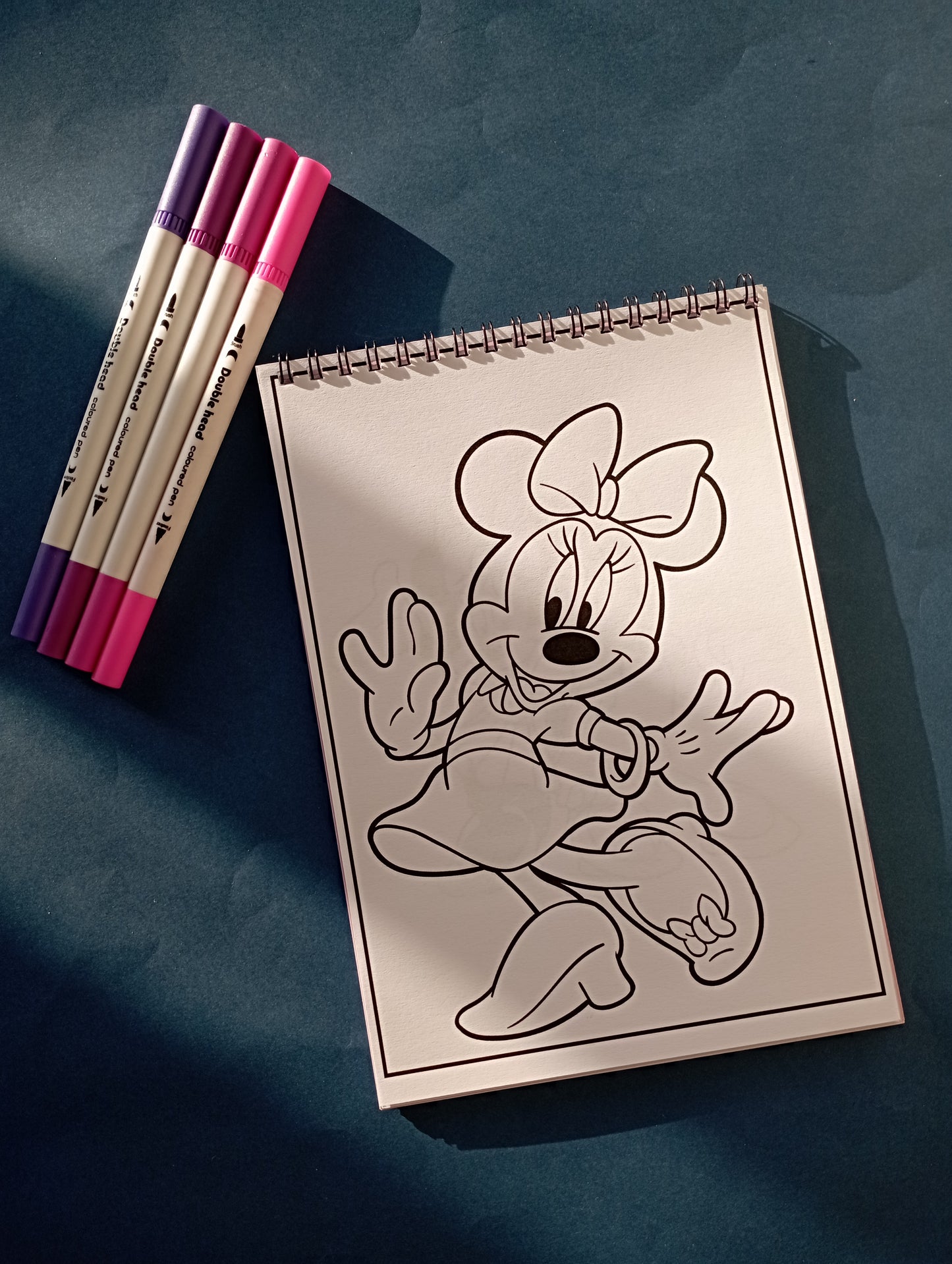 Minnie & Daisy Coloring Book